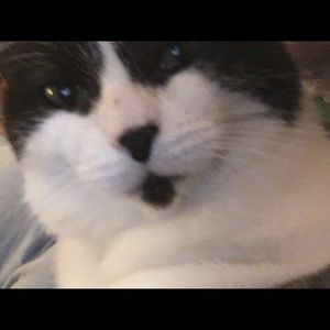 Meet your Posher, Deborah